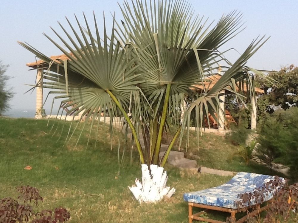 Tanji Bird Reserve Eco-Lodge (Adults Only) Ghana Town ภายนอก รูปภาพ